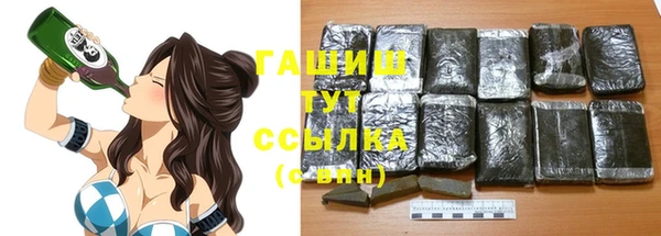 дмт Пересвет