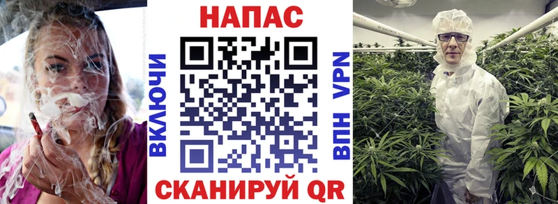 где найти наркотики  Тетюши  Канабис Ganja 
